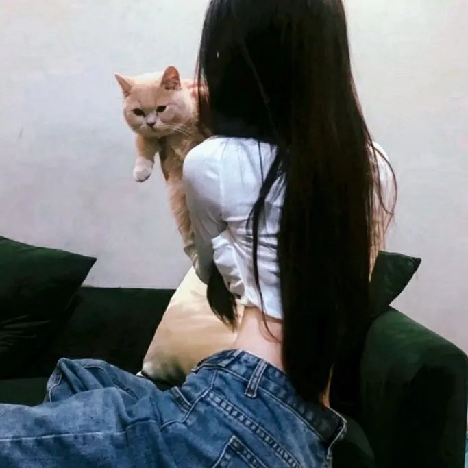 二十美圆